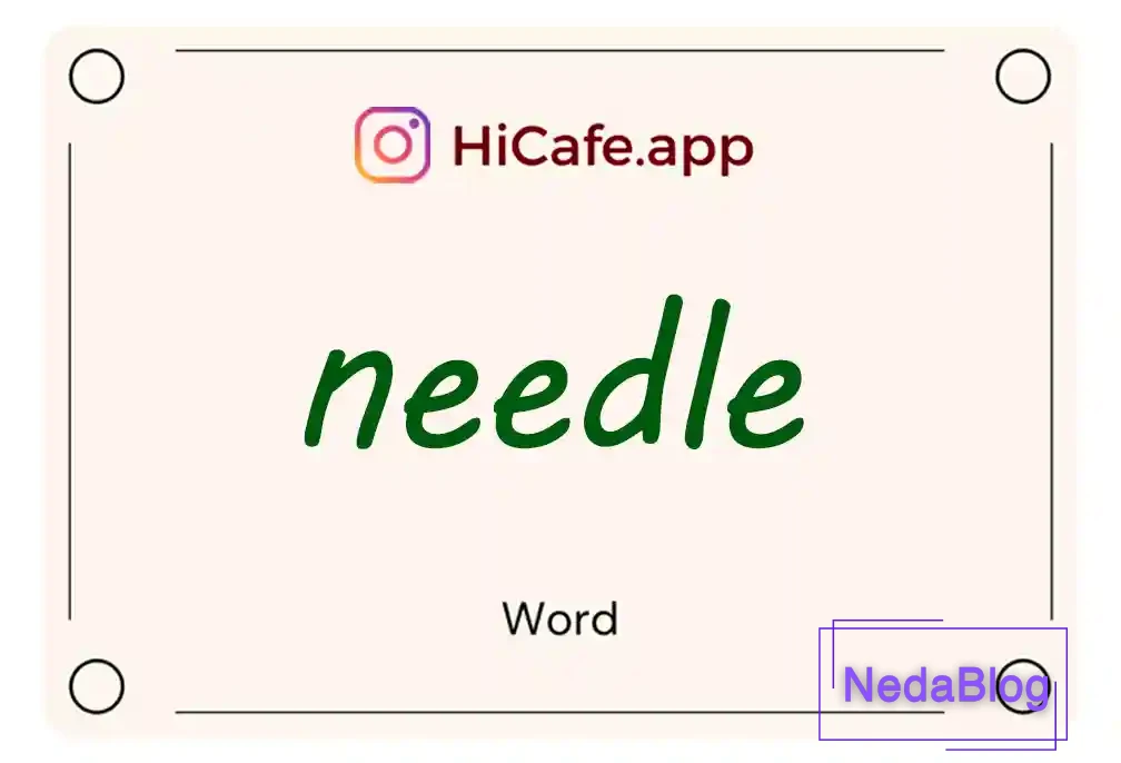 Meaning and usage of needle word