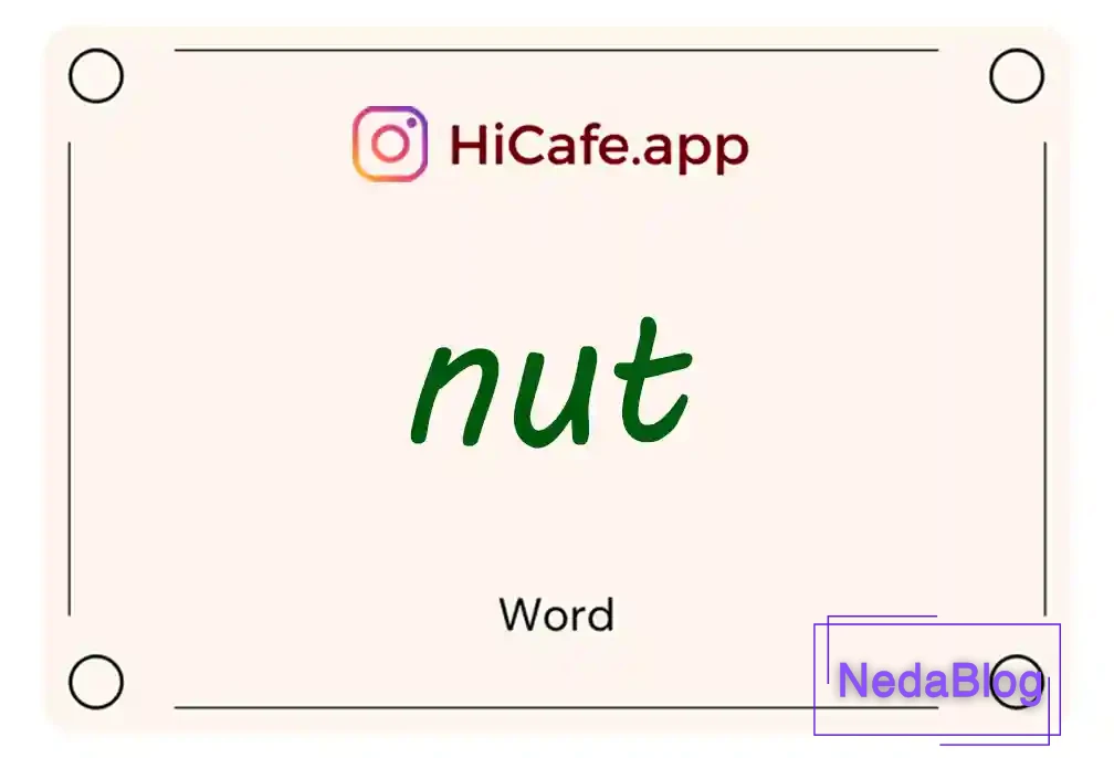 Meaning and usage of nut word