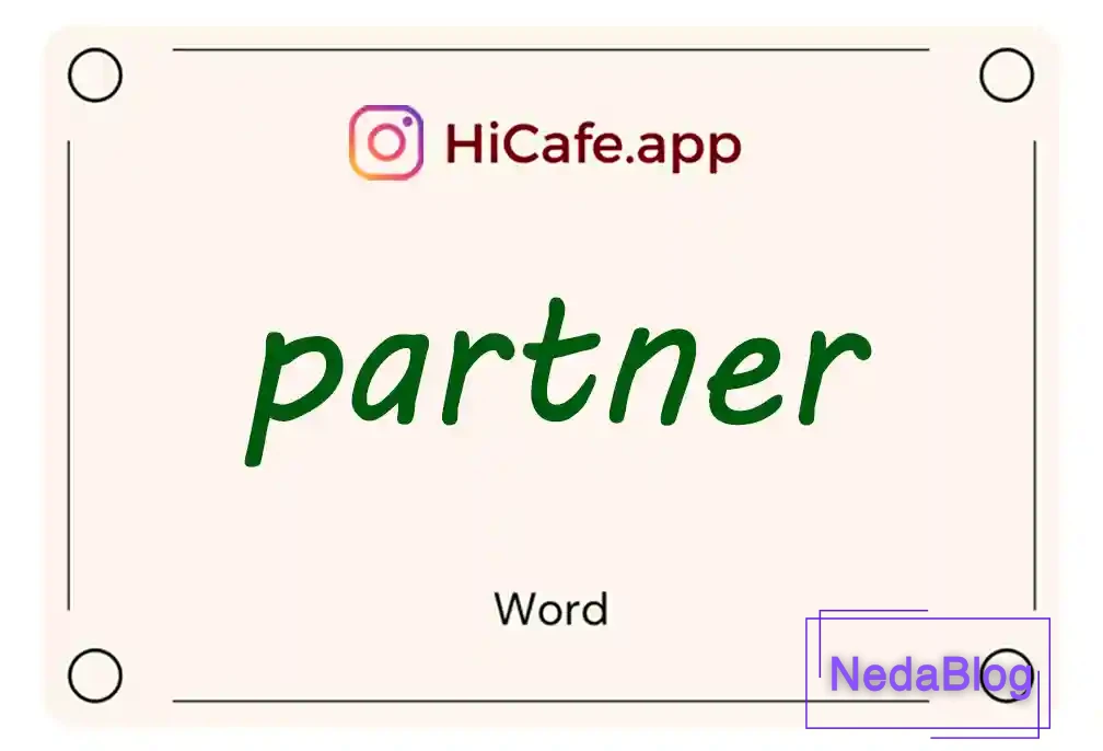 Meaning and usage of partner word