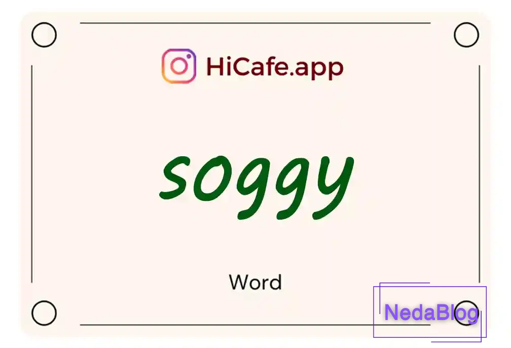Meaning and usage of soggy word