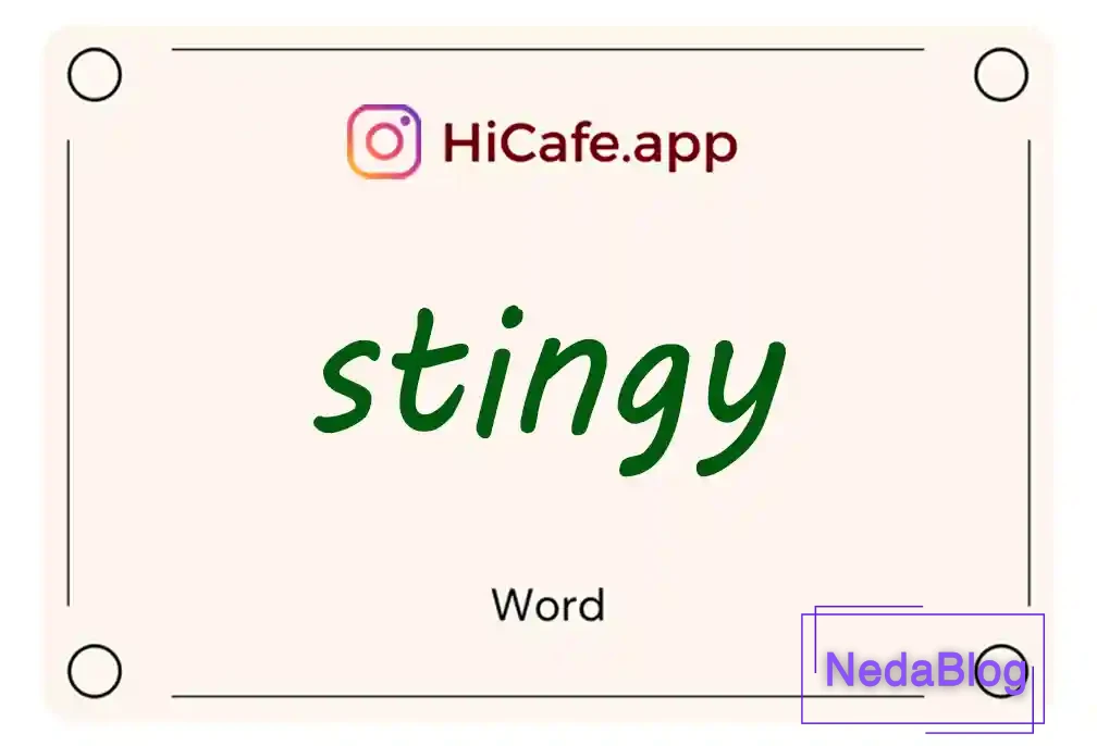 Meaning and usage of stingy word