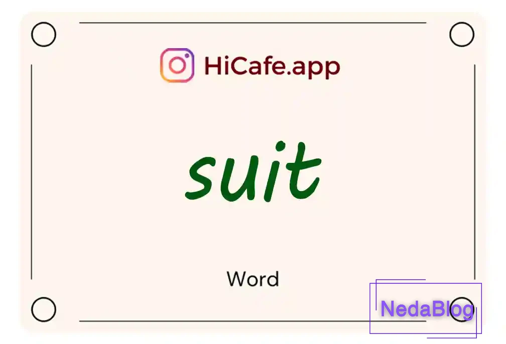 Meaning and usage of suit word