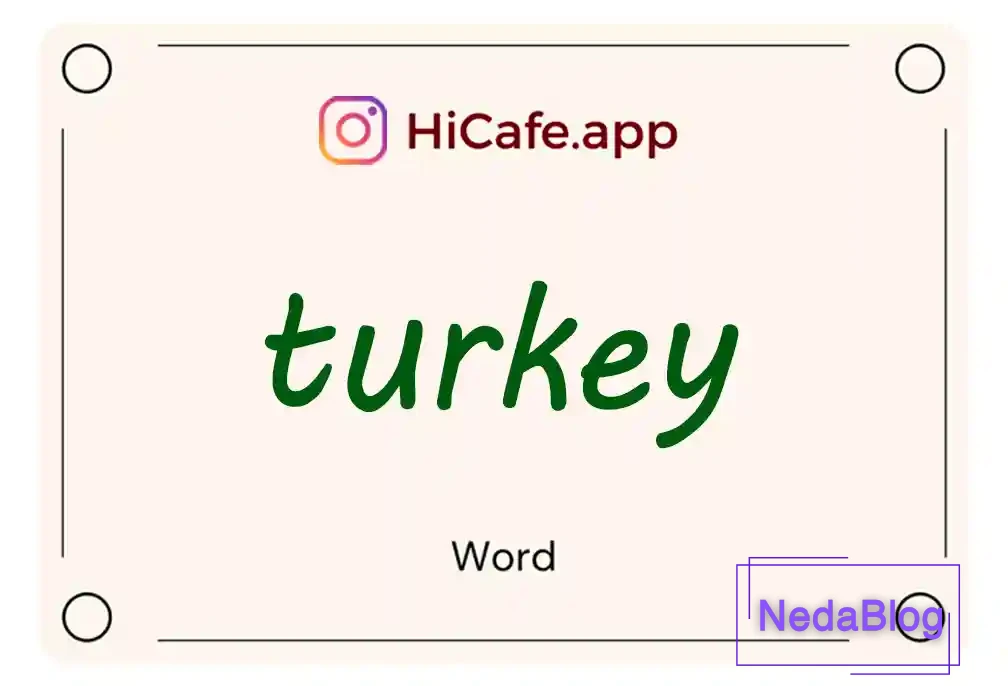 Meaning and usage of turkey word