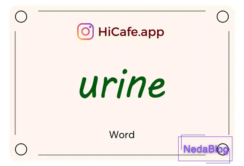 Meaning and usage of urine word