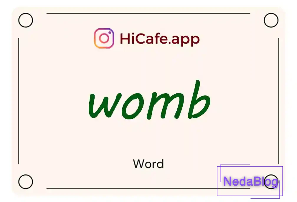 Meaning and usage of womb word