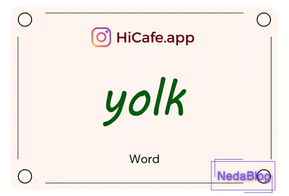 Meaning and usage of yolk word