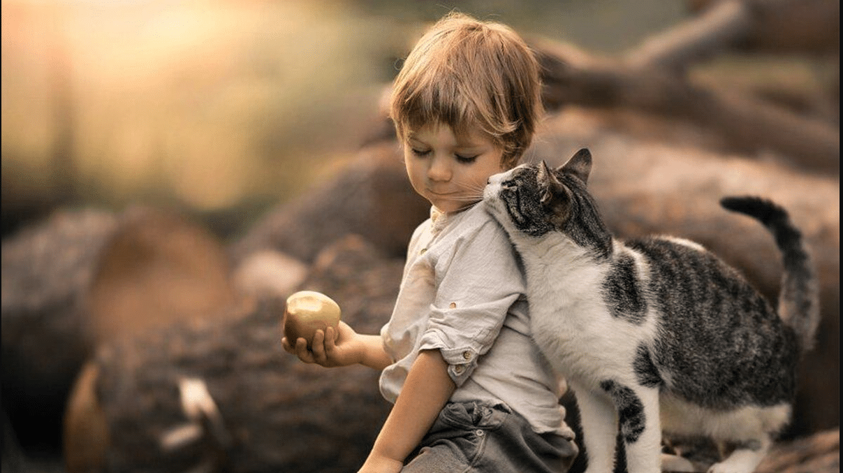 پت خانگی چیست؟ همه چیز در مورد پت خانگی و مزایای نگهداری از پت