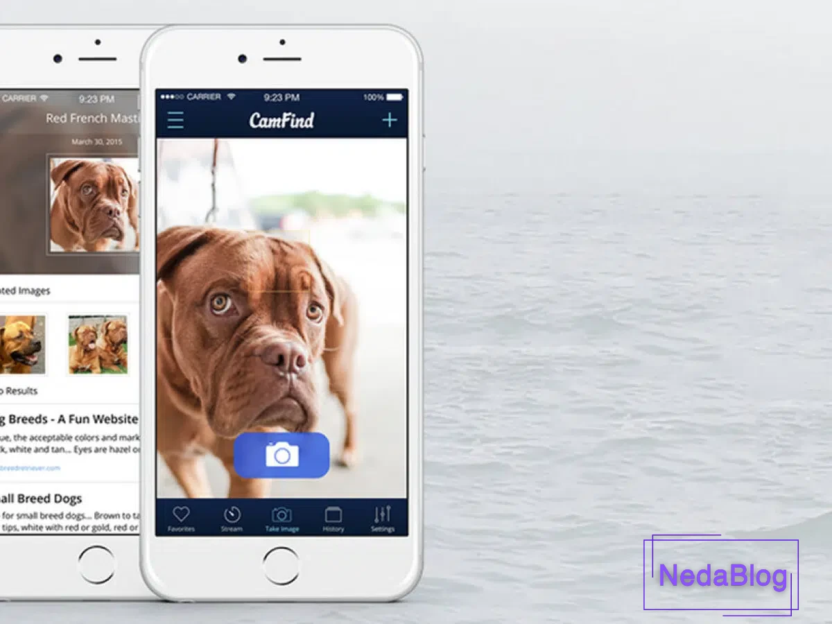 هوش مصنوعی برای سرچ کردن عکس:CamFind