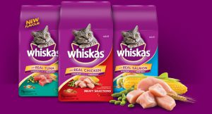 غذای خشک گربه برند ویسکاس