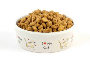 غذای خشک گربه