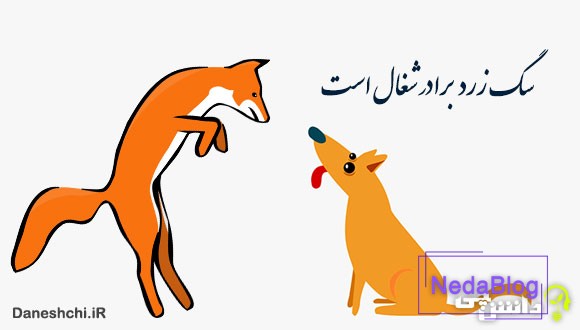 سگ زرد برادر شغال است