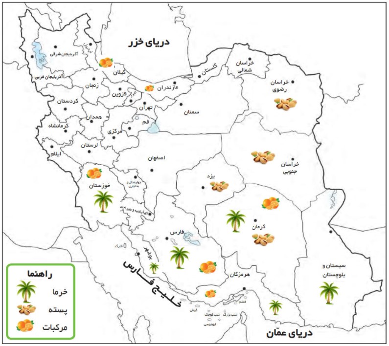 جواب کاربرگه شماره 8 مطالعات اجتماعی ششم