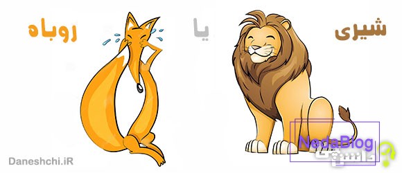 معنی ضرب المثل شیری یا روباه