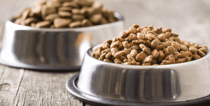 غذای خشک حیوانات خانگی