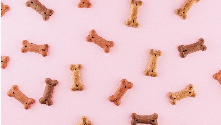 معرفی برند غذای مونلو سگ و گربه