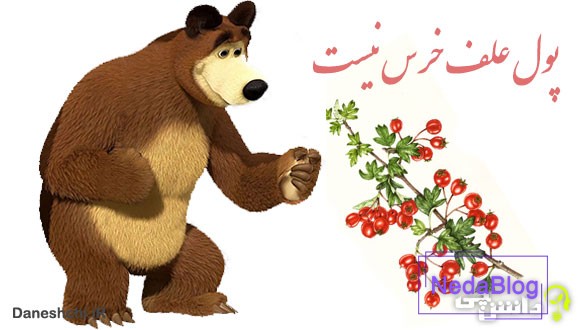 ضرب المثل پول علف خرس نیست