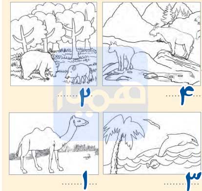 جواب فعالیت صفحه 83 مطالعات چهارم