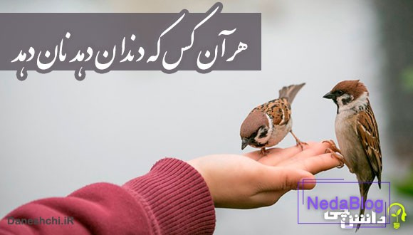 ضرب المثل هرآنکس که دندان دهد نان دهد
