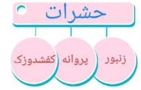 جواب صفحه ۹ نگارش چهارم