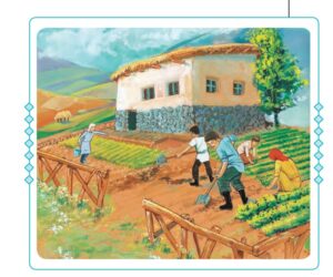 جواب نگارش هفتم