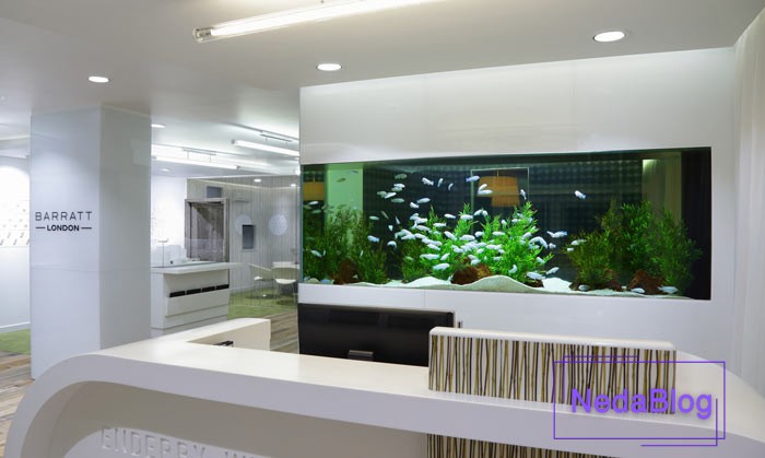 فنگ شویی محل کار و شغل