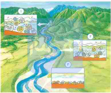 جواب گفتگو کنید درس ۶ علوم چهارم