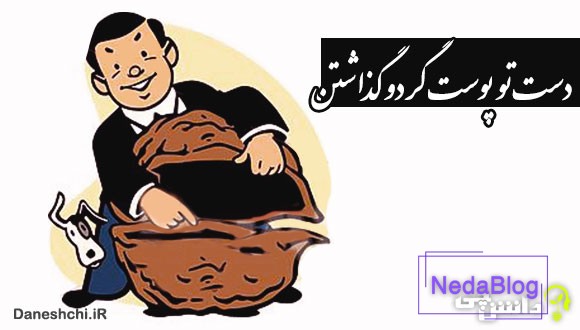 دست تو پوست گردو گذاشتن