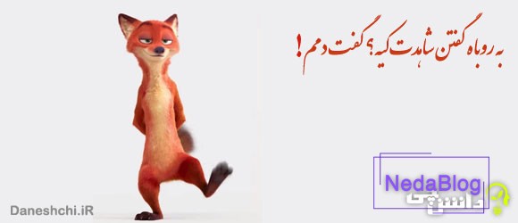 معنی ضرب المثل به روباه گفتند شاهدت کیه؟ گفت: دمم