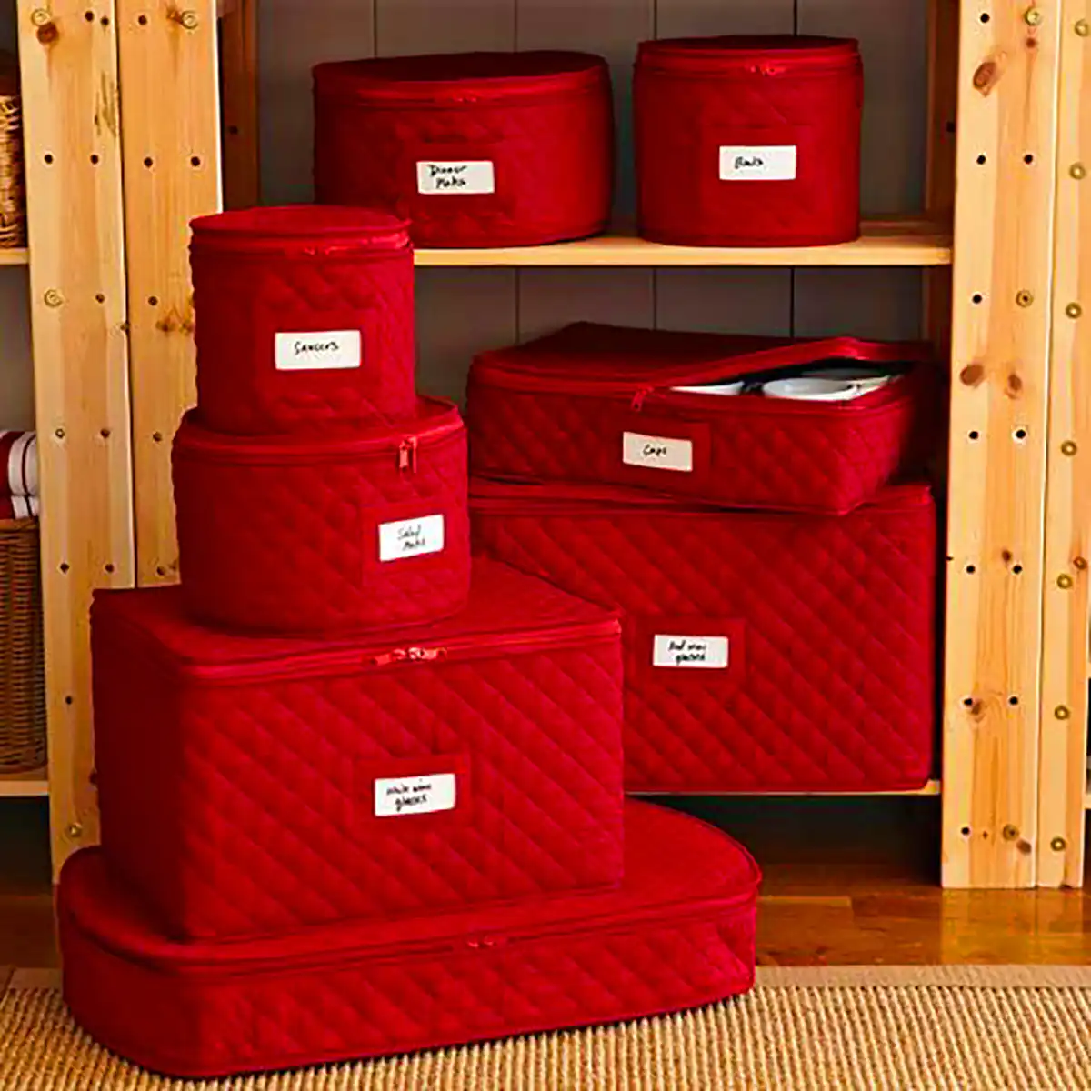 ساک نظم دهنده لباس شیک