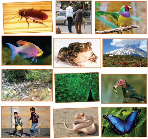 جواب سوالات صفحه 11 تفکر هشتم درس زیبایی تفکر