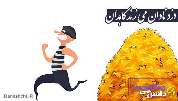 معنی دزد نادان می زند کاهدان چیست