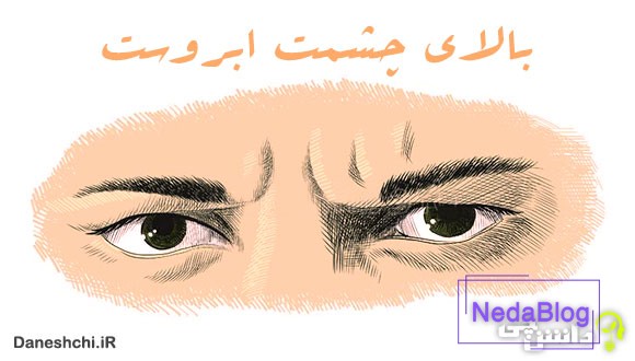 معنی بالای چشمت ابروست