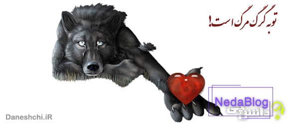 معنی ضرب المثل توبه گرگ مرگ است