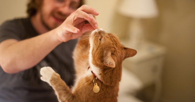 See the source image