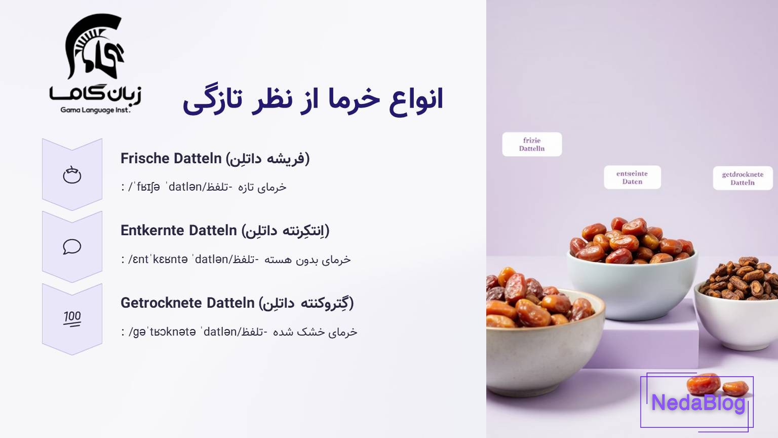 انوع خرما به آلمانی