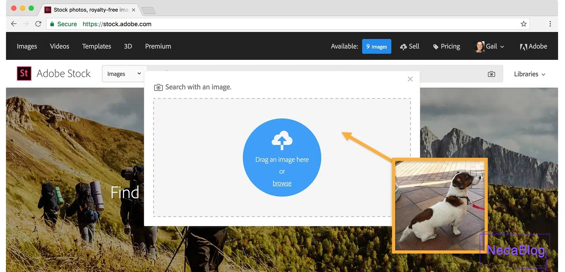 هوش مصنوعی برای سرچ کردن عکس:Reverse Image Search by Adobe