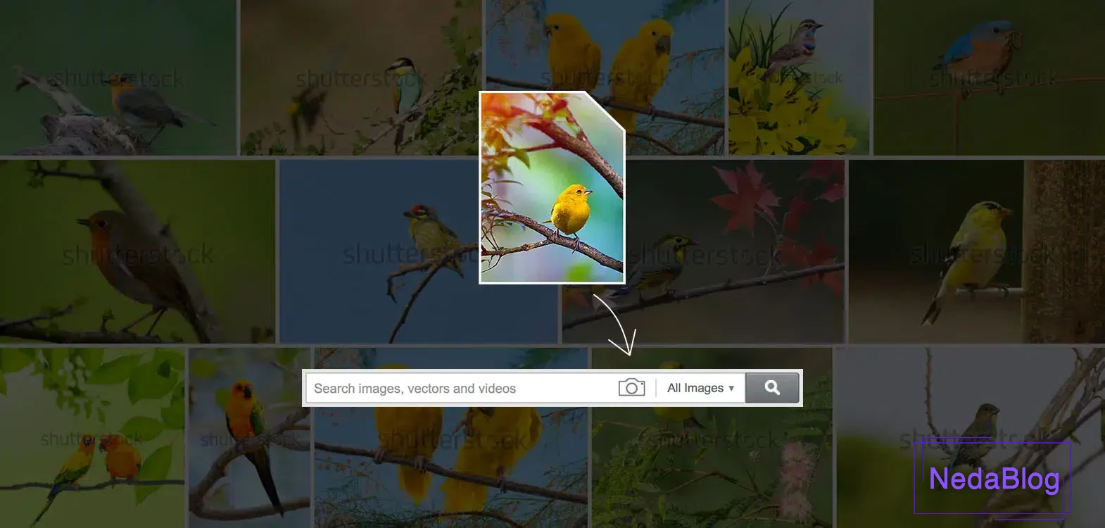 هوش مصنوعی برای سرچ کردن عکس:Shutterstock Visual Search