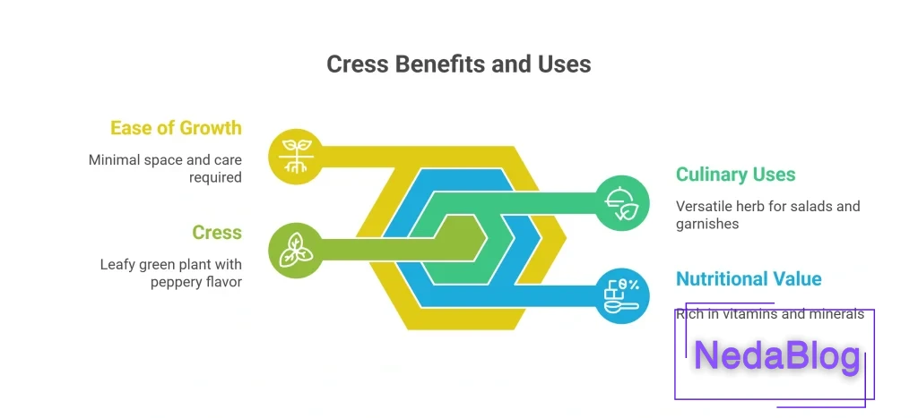 سبزی شاهی به آلمانی