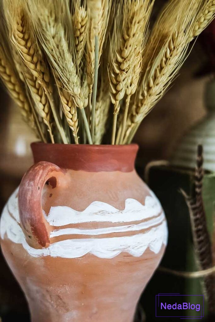 عکس خوشه گندم در فنگ شویی