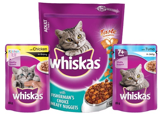 خرید غدای سگ و گربه