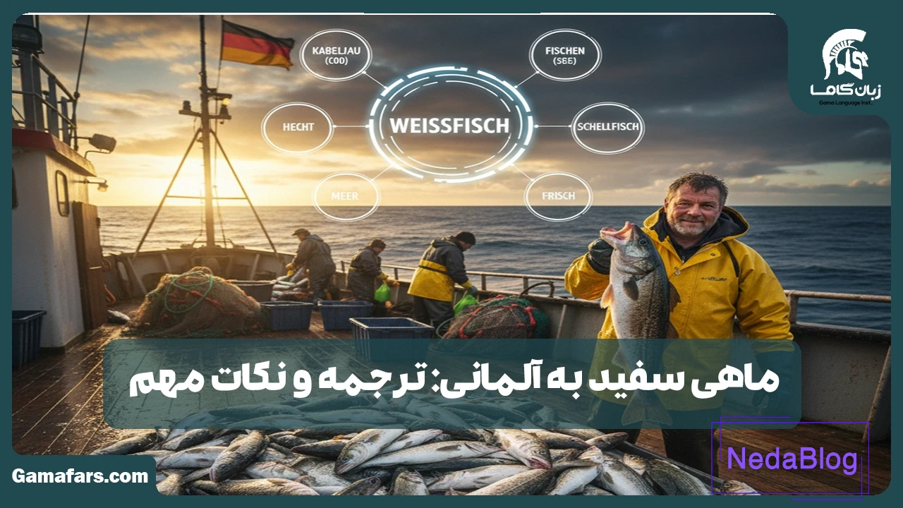 ماهی سفید به آلمانی