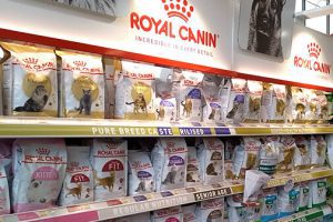 غذای خشک گربه برند رویال کنین