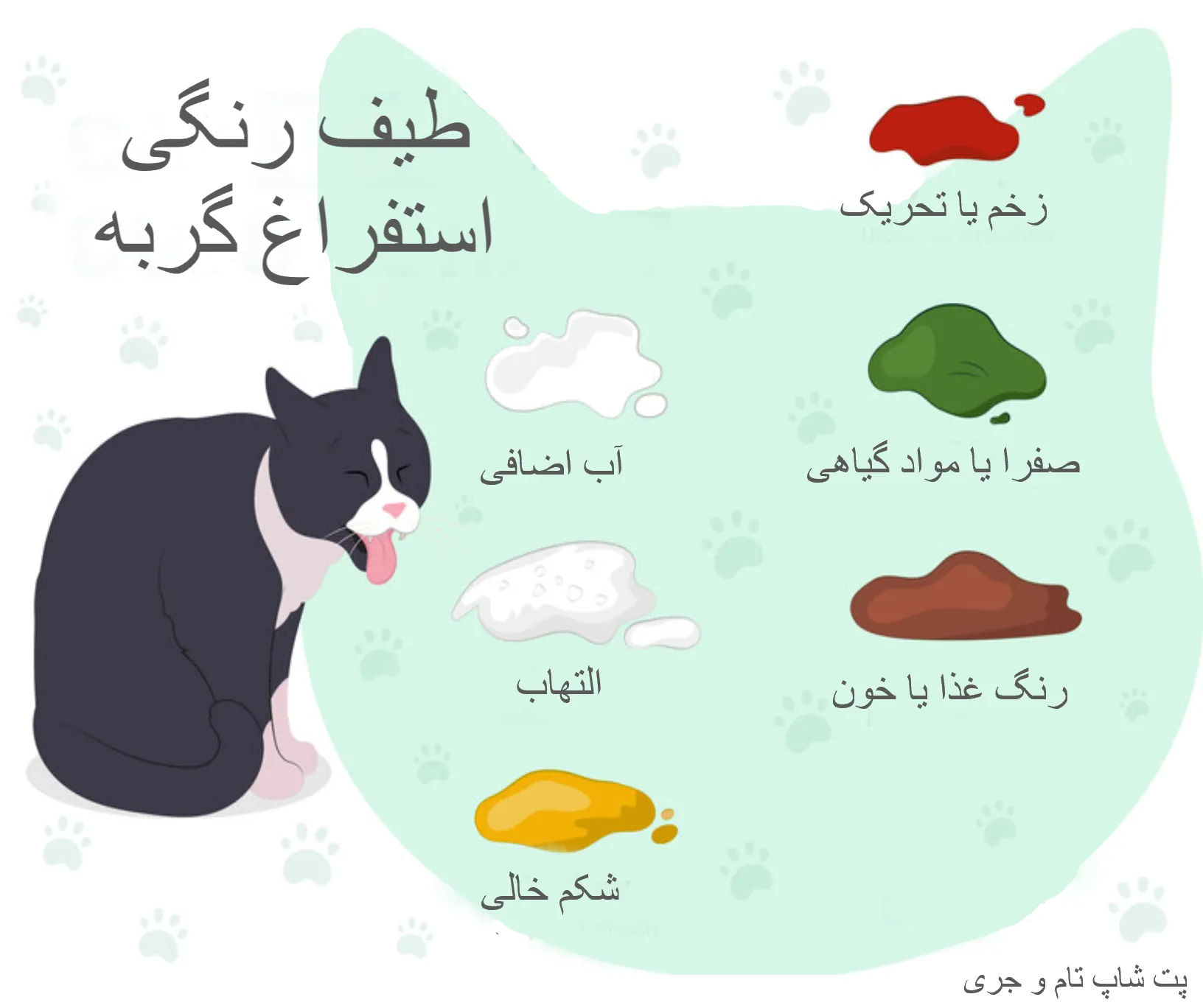 طیف رنگی استفراغ گربه