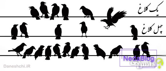 یک کلاغ چهل کلاغ