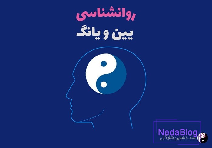 روانشناسی یین و یانگ