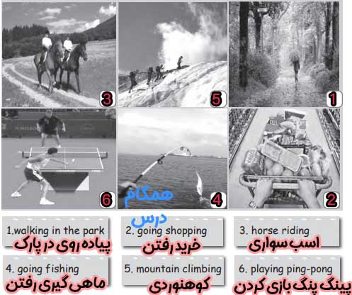 جواب صفحه ۴۱ درس هفتم کتاب کار زبان هشتم