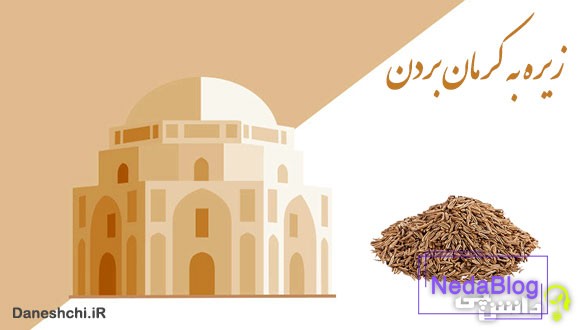 معنی زیره به کرمان بردن