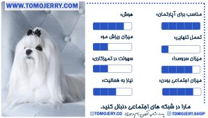 بهترین نژاد های سگ