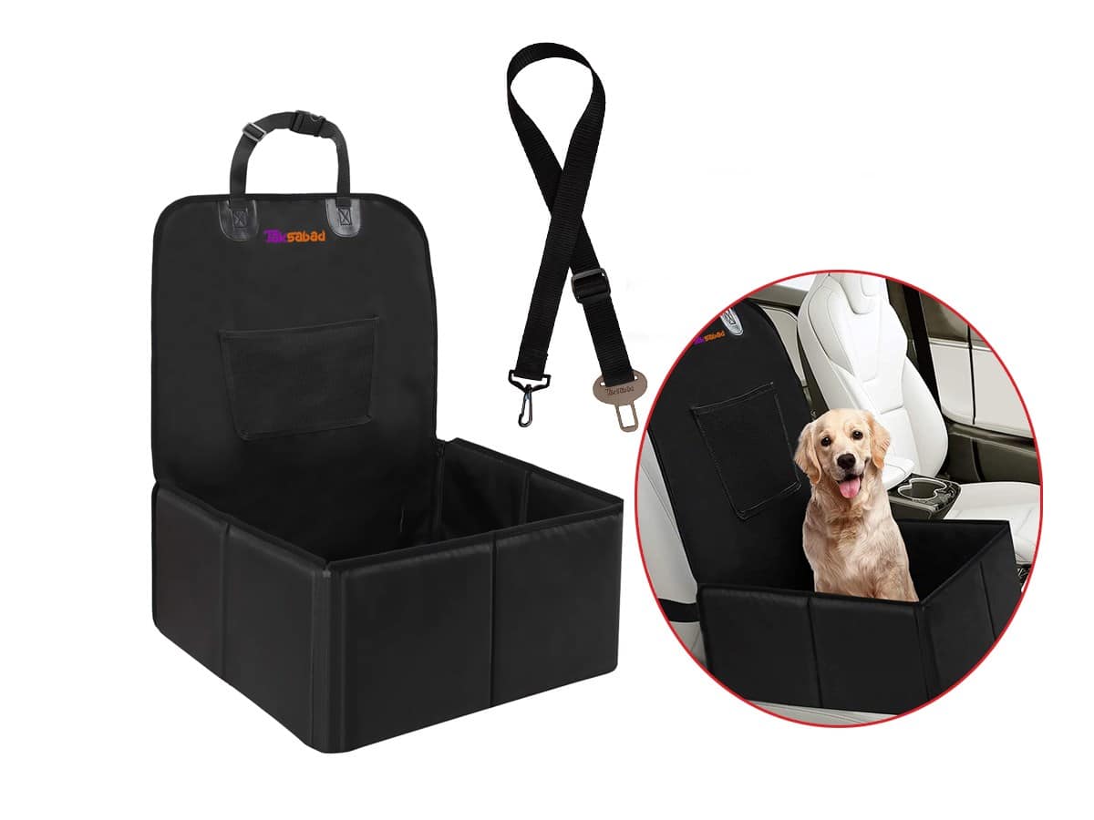 ایمنی باکس حمل سگ