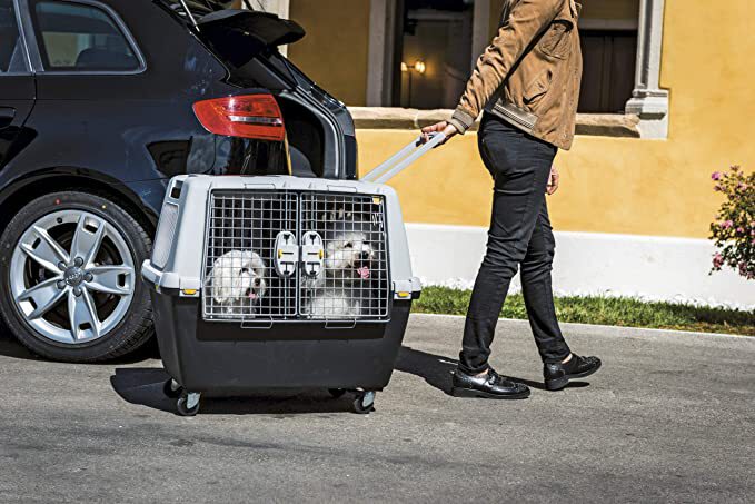 باکس حمل سگ چرخ دار